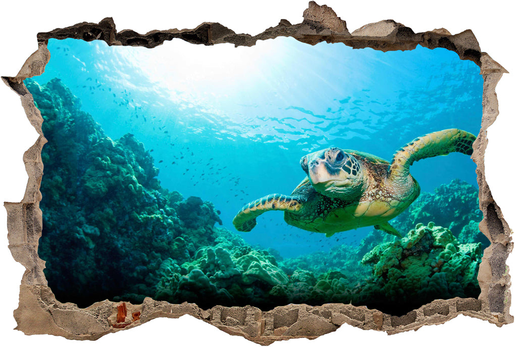 Sea Turtle 3D Smashed Broken Decal Wall Sticker J388