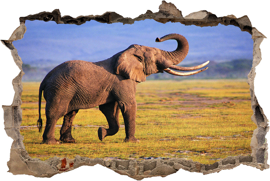 Elephant 3D Smashed Broken Decal Wall Sticker J440