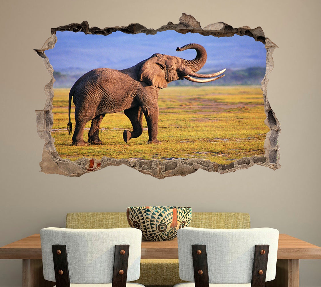 Elephant 3D Smashed Broken Decal Wall Sticker J440