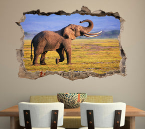 Elephant 3D Smashed Broken Decal Wall Sticker J440