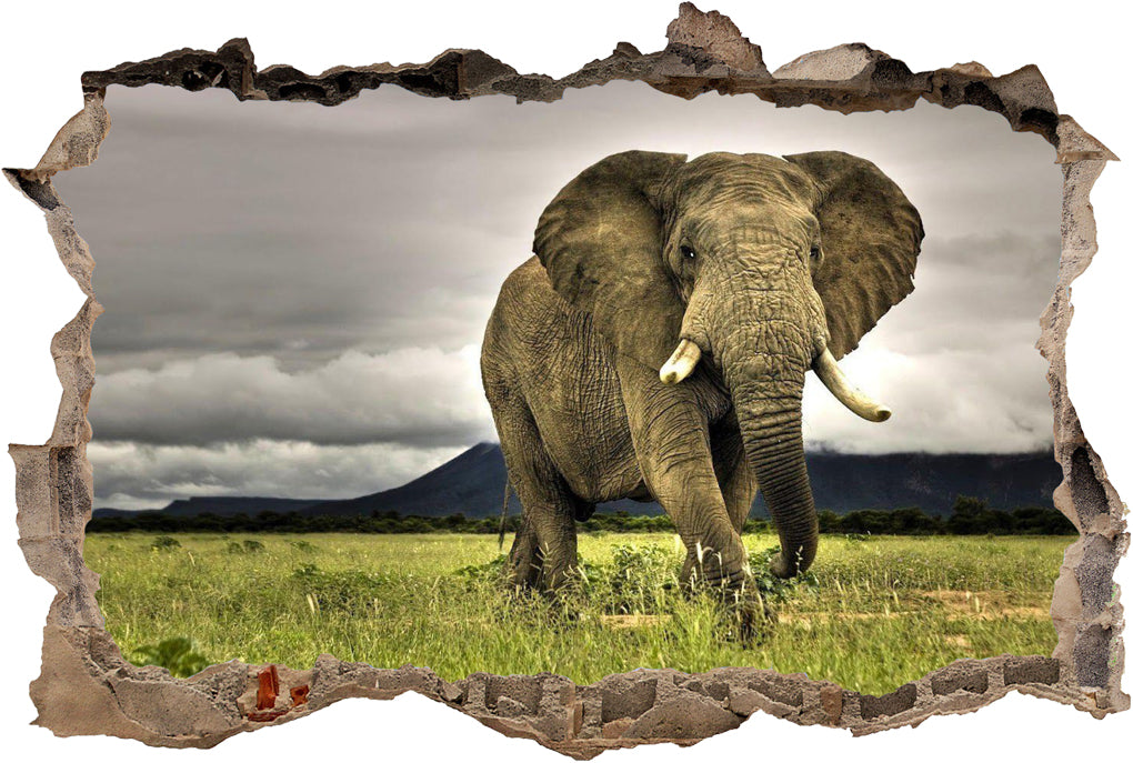 Elephant 3D Smashed Broken Decal Wall Sticker J441