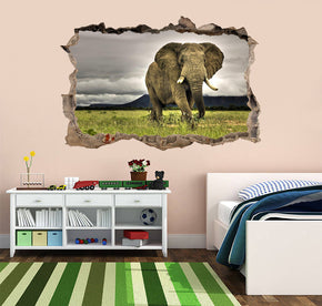 Elephant 3D Smashed Broken Decal Wall Sticker J441