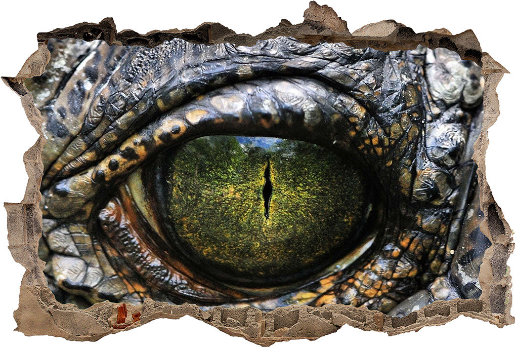 Crocodile Alligator Eye Reptile 3D Smashed Broken Decal Wall Sticker J47