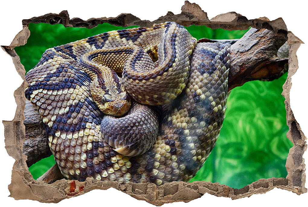 Rattlesnake Snake 3D Smashed Broken Decal Wall Sticker J55