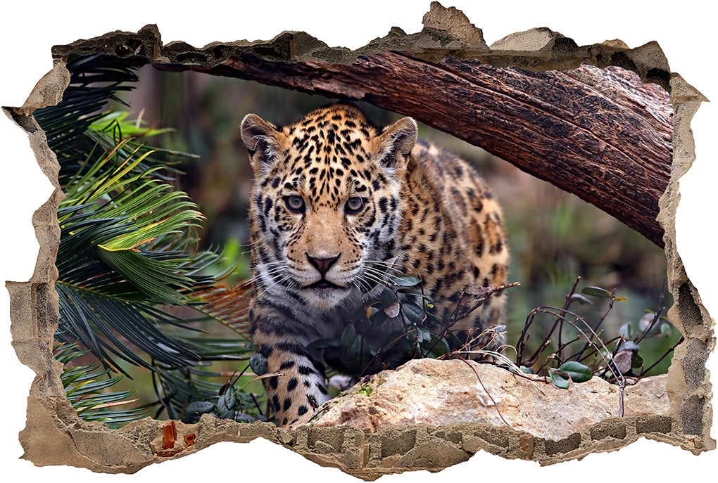 Jaguar Tiger Leopard 3D Smashed Broken Decal Wall Sticker J56