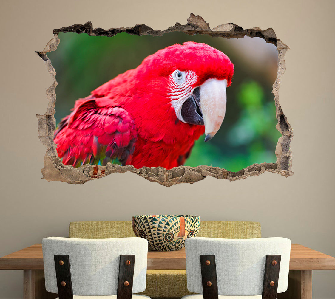 Parrot 3D Smashed Broken Decal Wall Sticker J757
