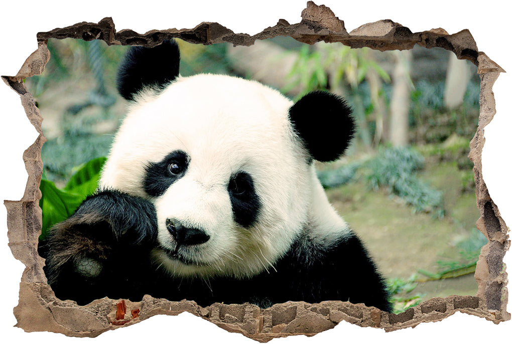 Panda Bear 3D Smashed Broken Decal Wall Sticker J759