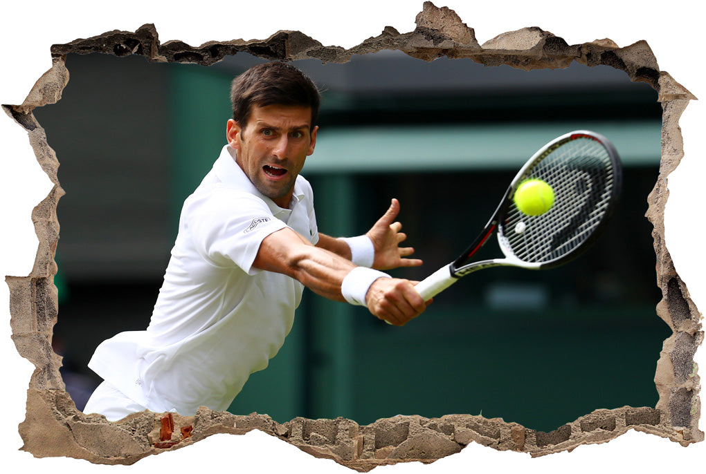 Novak Djokovic 3D Smashed Broken Decal Wall Sticker J874