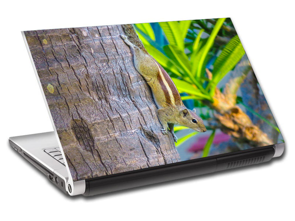 Squirrel Personalized LAPTOP Skin Vinyl Decal L317