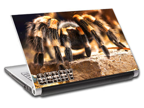 Tarantula Spider Personalized LAPTOP Skin Vinyl Decal L559