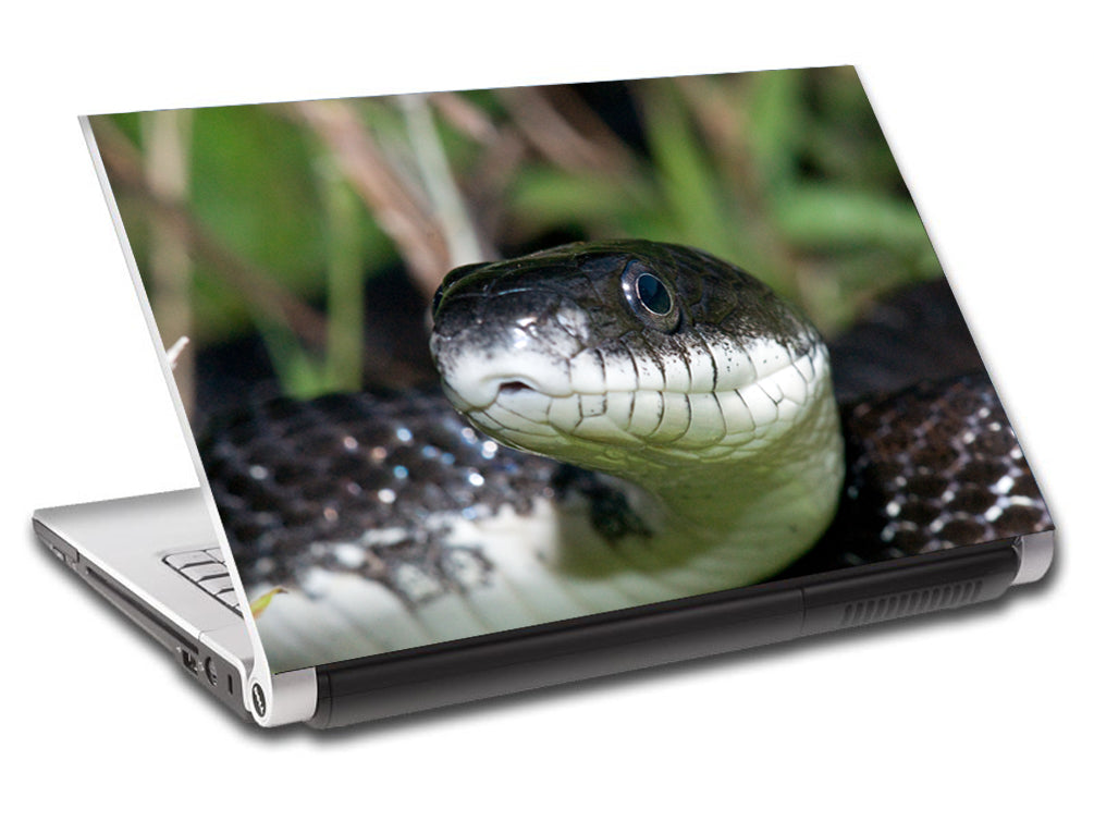 Black Mamba Snake personnalisé ordinateur portable peau vinyle autocollant L580