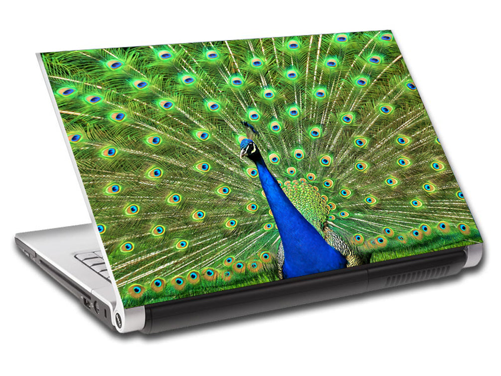 Peacock Ordinateur portable personnalisé Skin Vinyl Decal L607