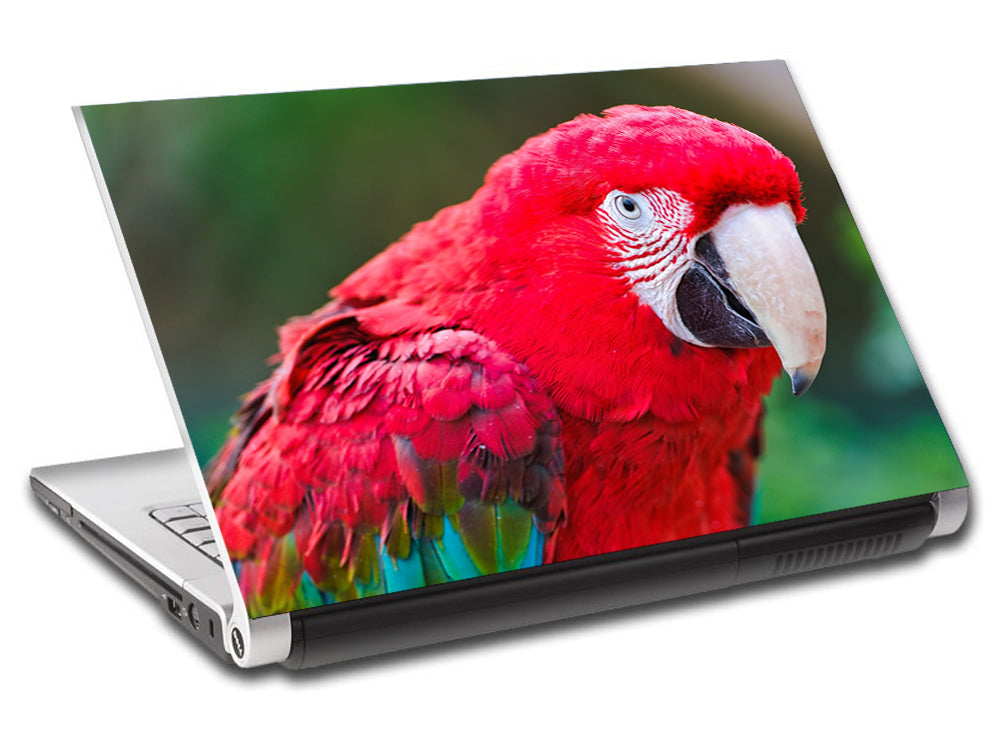 Parrot Personnalisé LAPTOP Skin Vinyl Decal L666