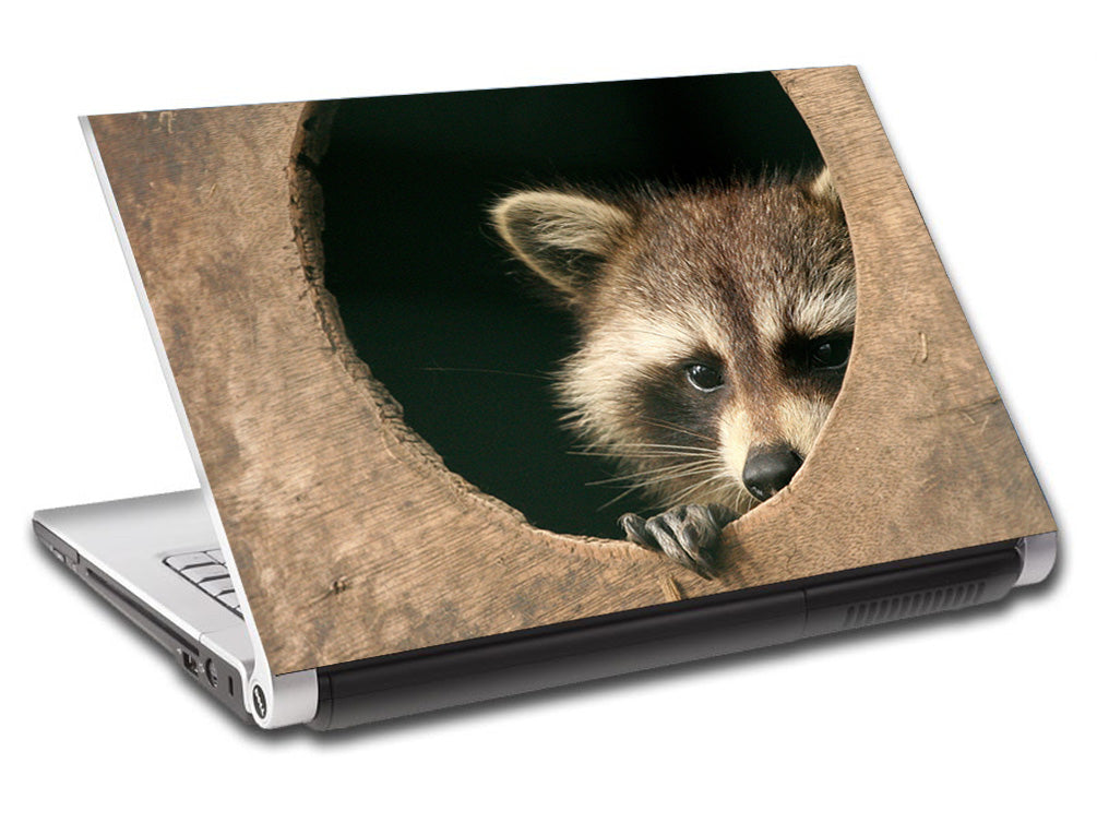 Sticker vinyle peau de raton laveur personnalisé L761