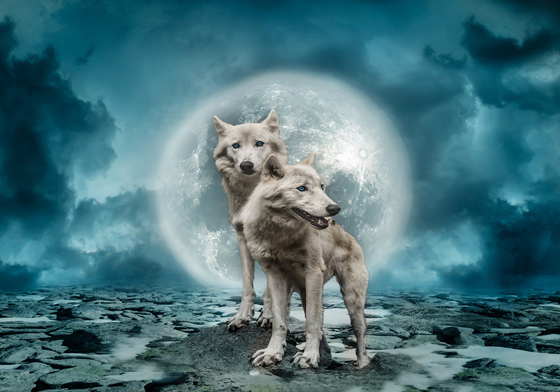 White Wolves Fantasy Tissé auto-adhésif papier peint amovible Moderne Mural M197