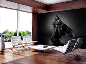Star Wars Darth Vader Woven Self-Adhesive Removable Wallpaper Modern Mural M241