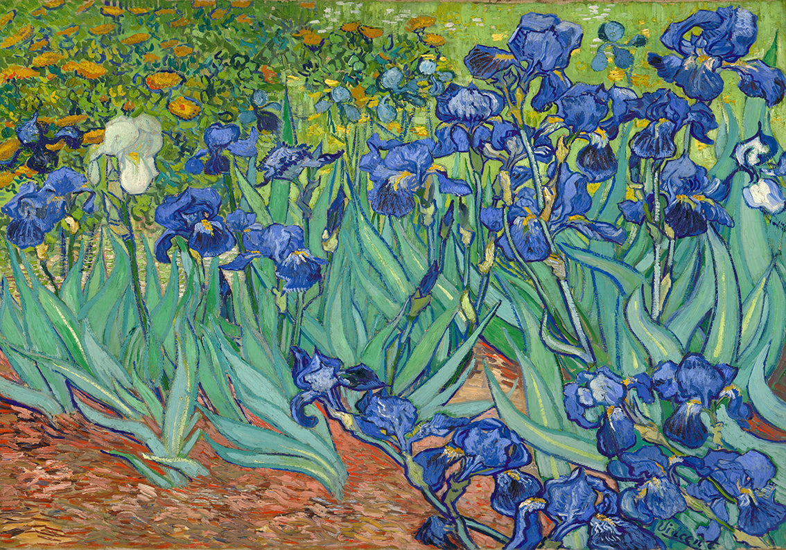 Van Gogh Irises Woven Self-Adhesive Removable Wallpaper Modern Mural M246