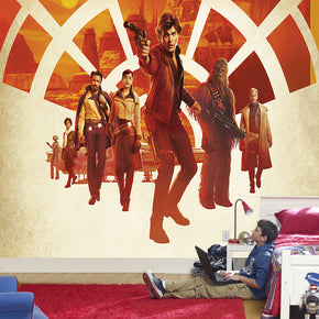 Star Wars Woven Self-Adhesive Removable Wallpaper Modern Mural M256