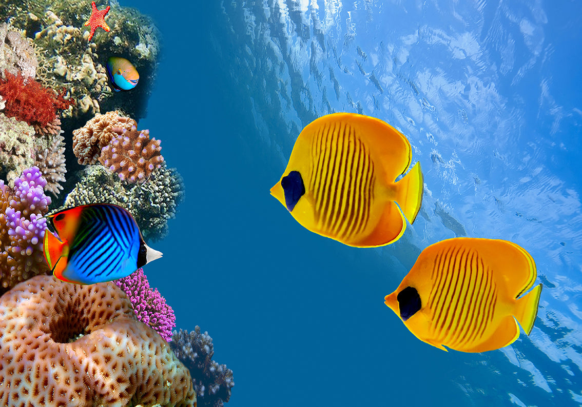 Poisson tropical récif de corail océan tissé auto-adhésif papier peint amovible mural moderne M76