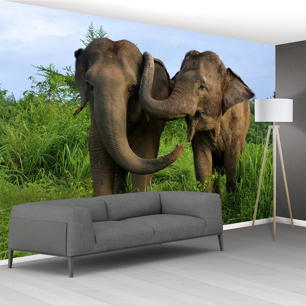 Elephants Woven Self-Adhesive Amovible Wallpaper Modern Mural M77 Éléphants Tissé auto-adhésif