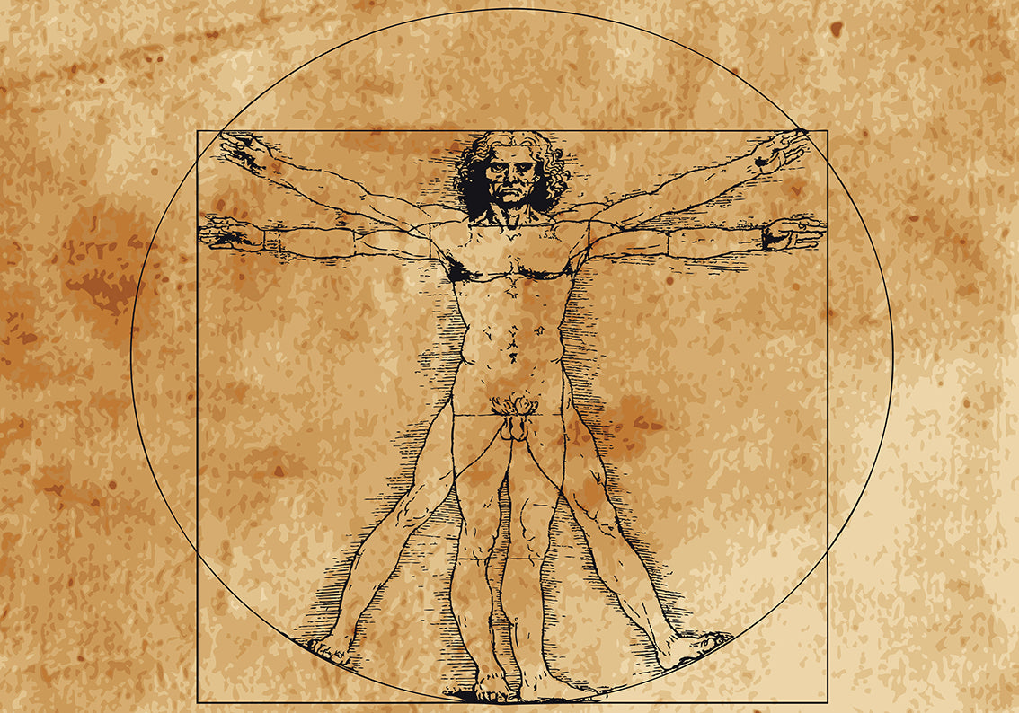 THE VITRUVIAN MAN Da Vinci Woven Self-Adhesive Removable Wallpaper Modern Mural M85
