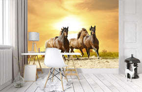 Horses At Sunset Woven Self-Adhesive Removable Wallpaper Modern Mural M99