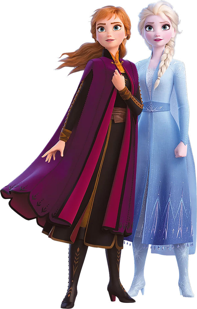 Anna & Elsa Frozen 2 Disney Princess 3D Wall Sticker Decal WC346