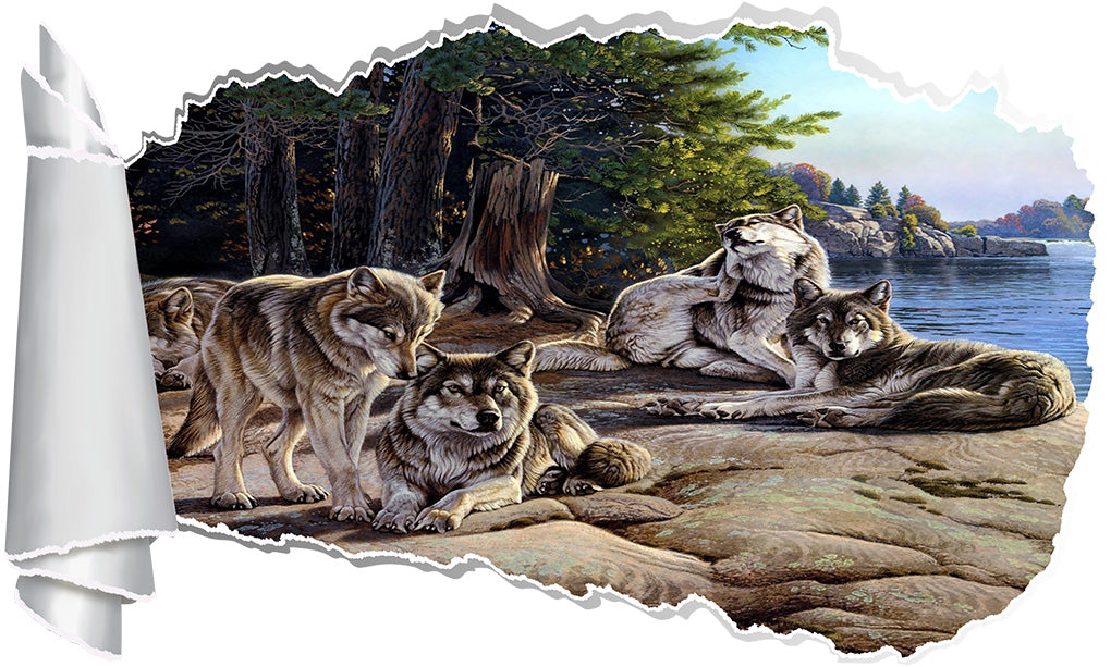 Wolves 3D Torn Paper Hole Ripped Effect Decal Wall Sticker