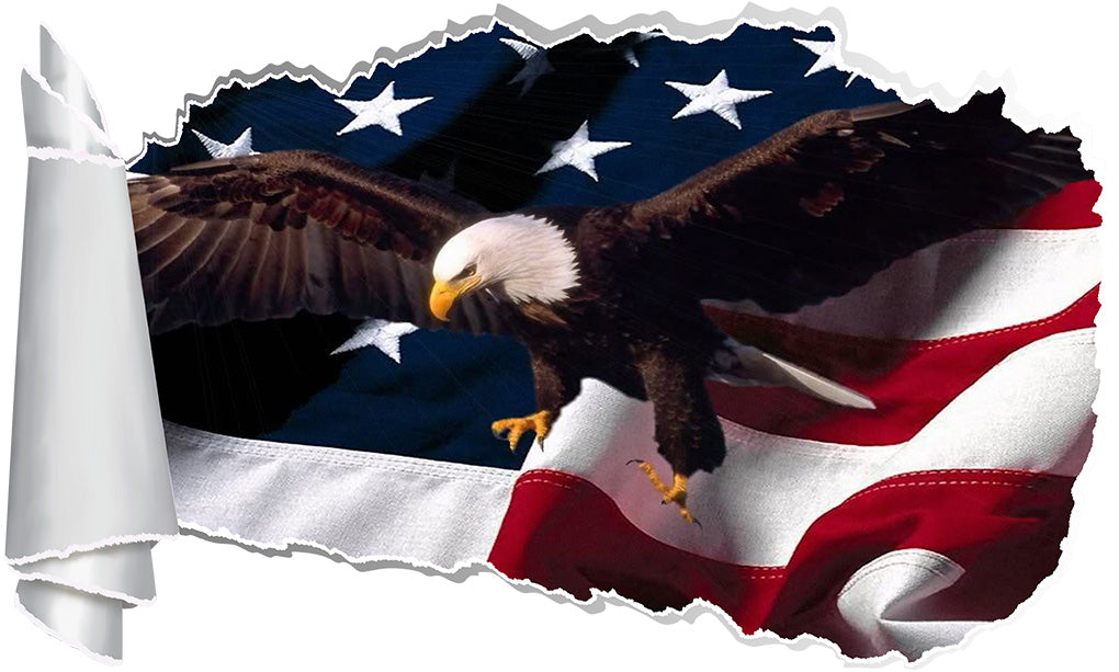 Eagle American Flag 3D Torn Paper Hole Ripped Effect Decal Wall Sticker