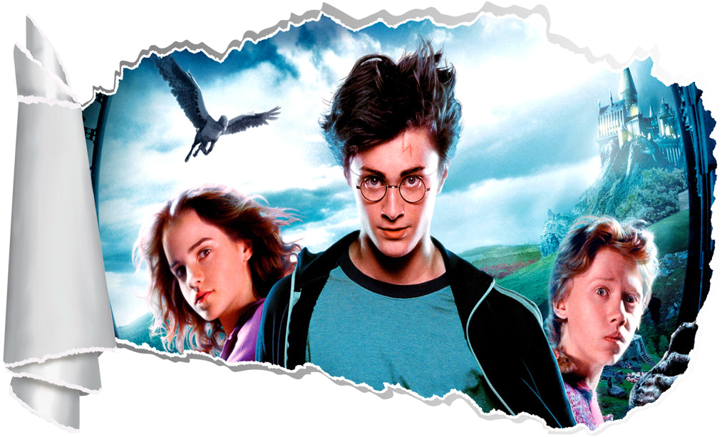 Harry Potter 3D Torn Paper Effect Decal Wall Sticker WT112