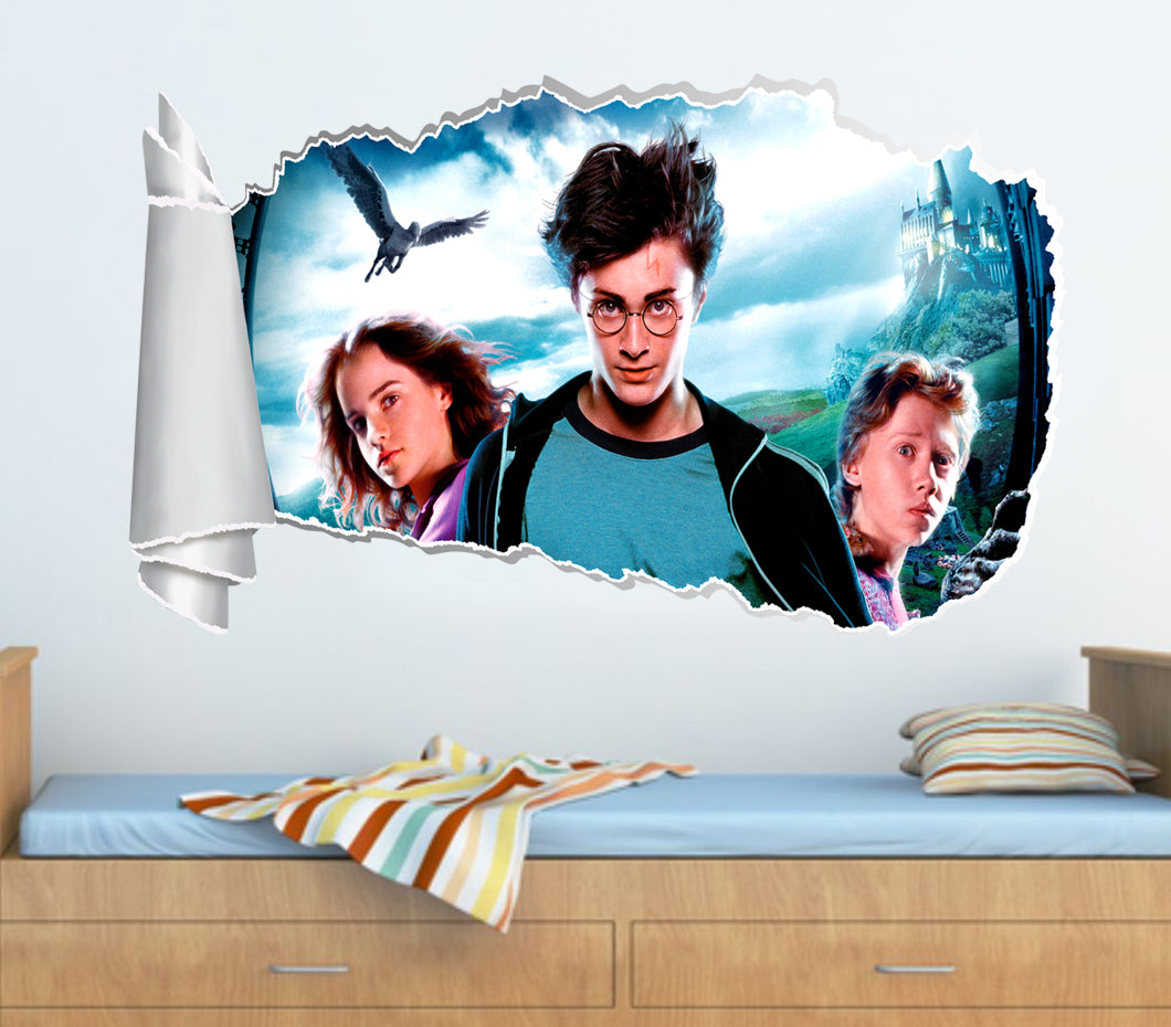Harry Potter 3D Torn Paper Effect Decal Wall Sticker WT112
