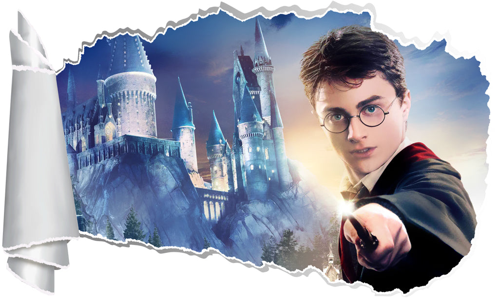 Harry Potter 3D Torn Paper Effect Decal Wall Sticker WT113