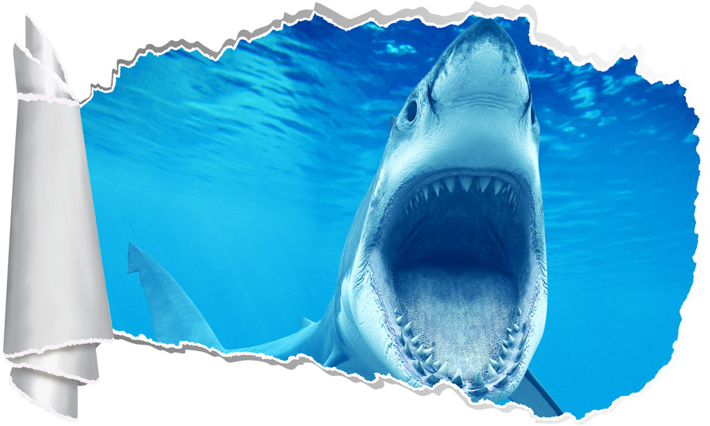 Grand requin blanc 3D trou de papier déchiré autocollant mural effet déchiré