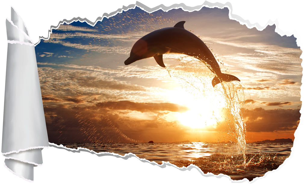 Dolphin Sunset 3D Torn Paper Hole Ripped Effect Decal Wall Sticker