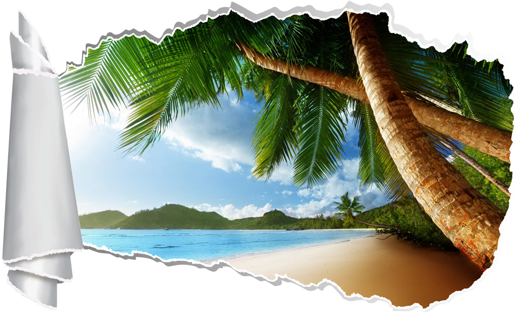 Exotic Palm Tree Beach Island 3D Torn Paper Hole Ripped Effect Decal Wall Sticker