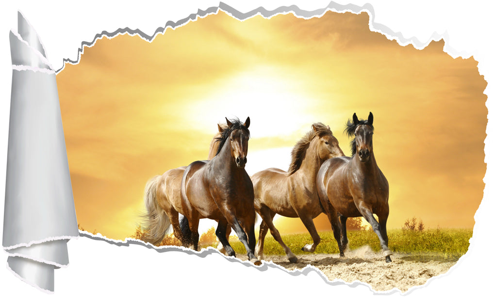 Horses Galloping Sunset 3D Torn Paper Hole Ripped Effect Decal Wall Sticker