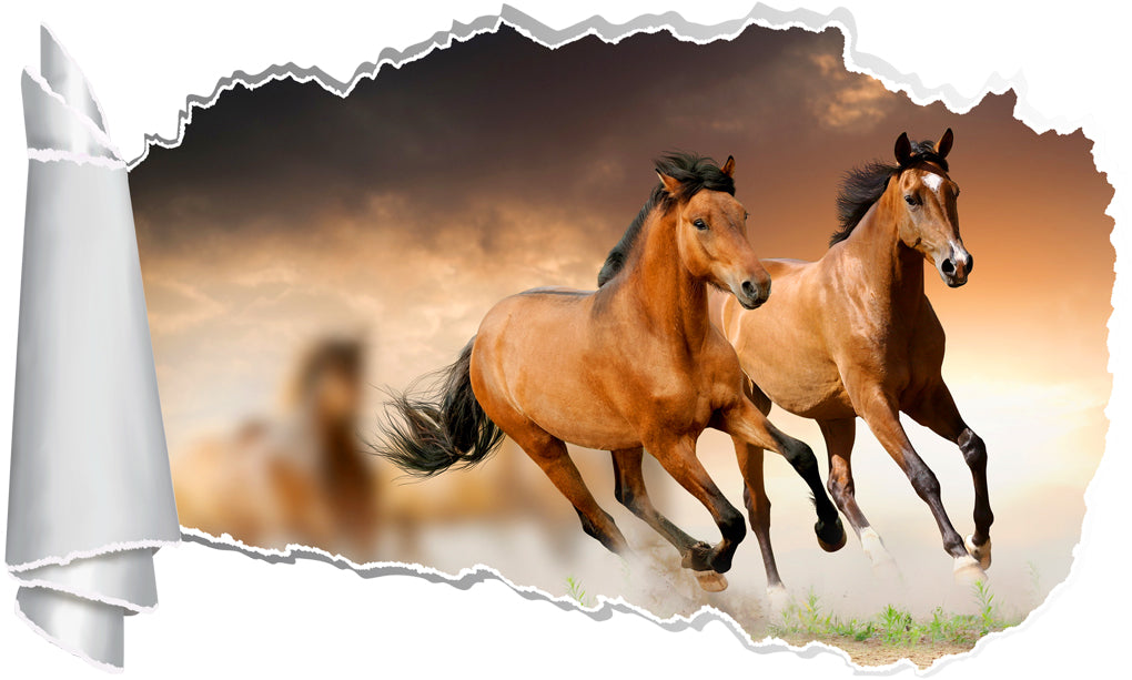 Horses Galloping Sunset 3D Torn Paper Hole Ripped Effect Decal Wall Sticker