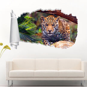 Jaguar 3D Torn Paper Hole Ripped Effect Decal Wall Sticker