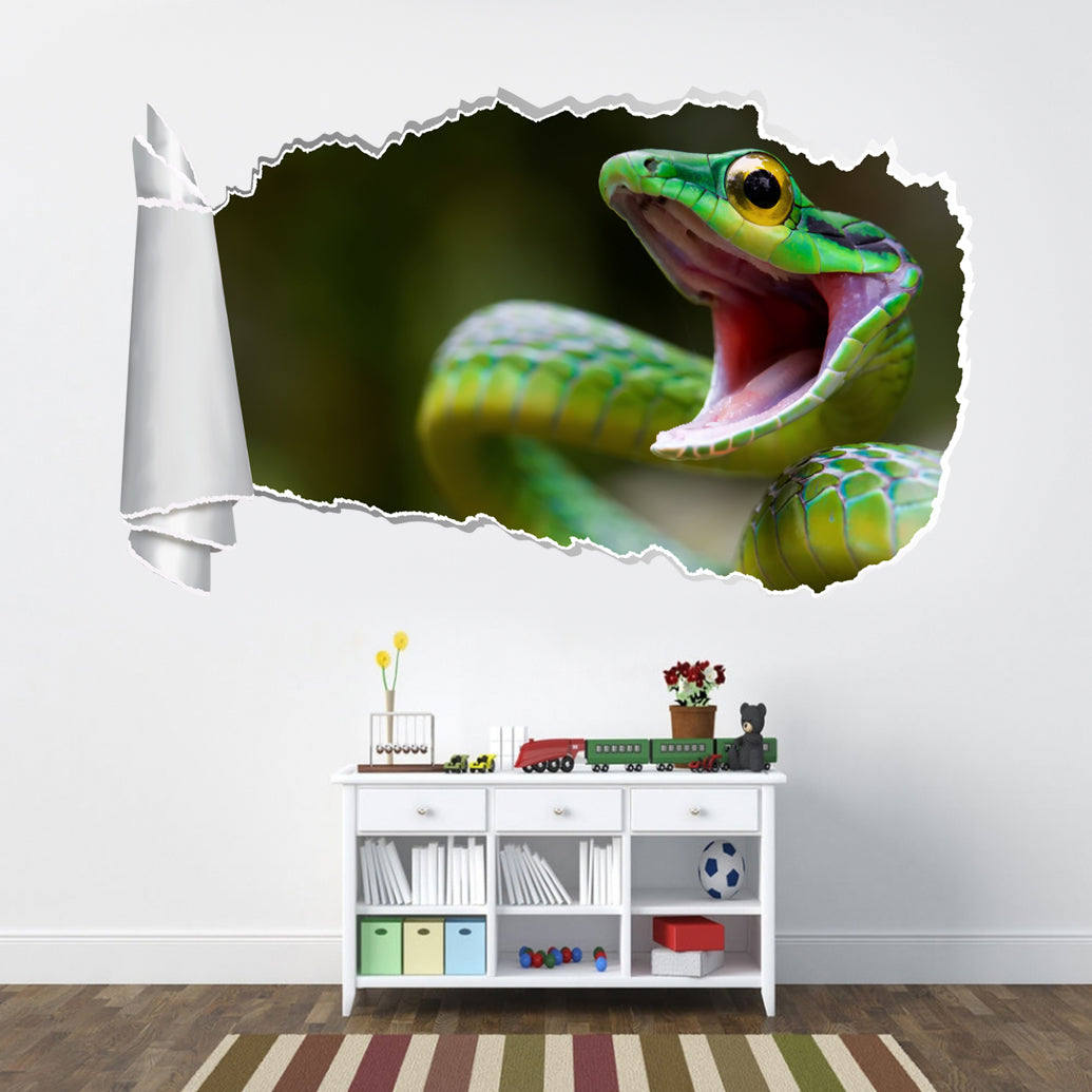Snake 3D Torn Paper Hole Ripped Effect Decal Wall Sticker