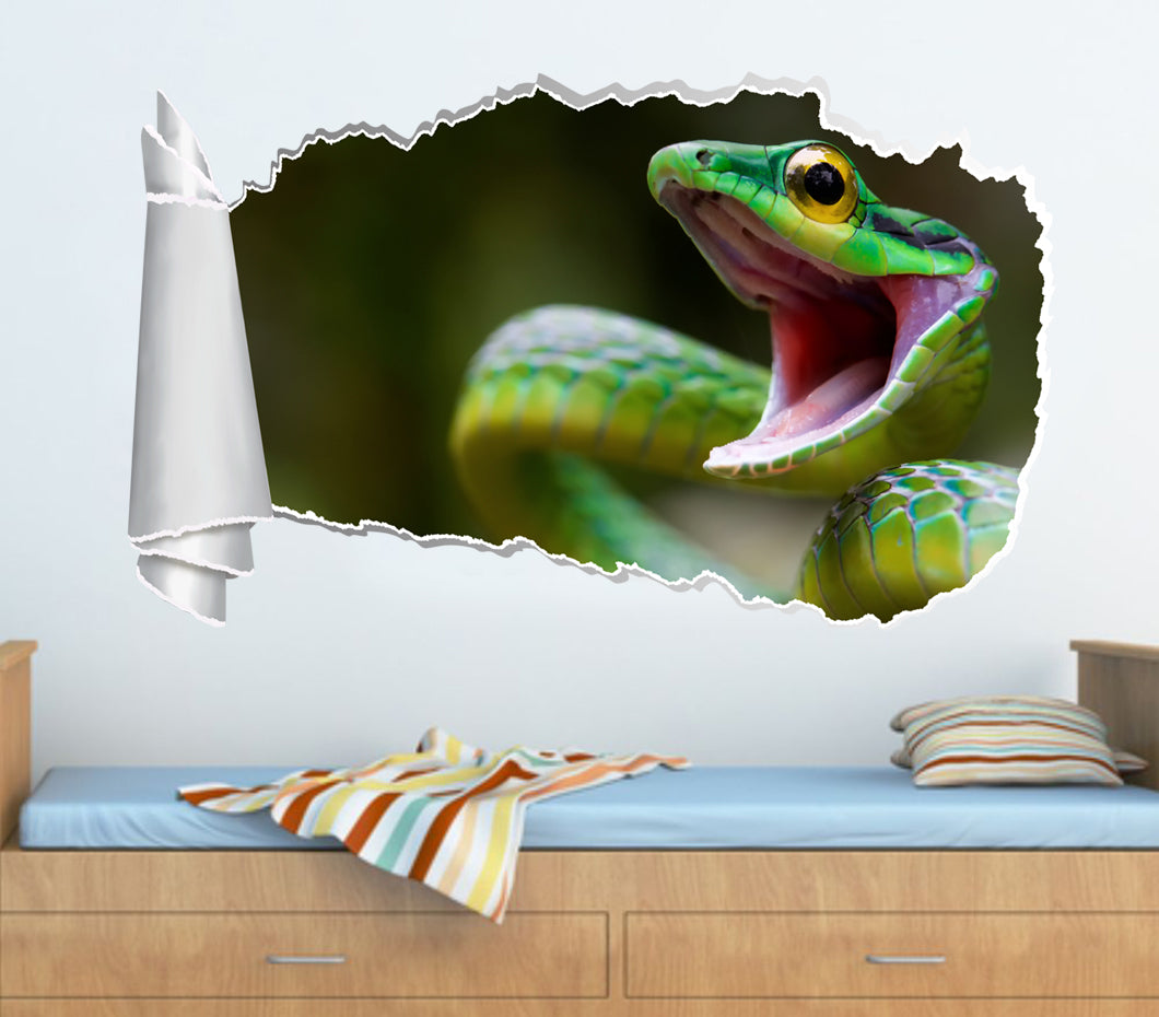 Snake 3D Torn Paper Hole Ripped Effect Decal Wall Sticker
