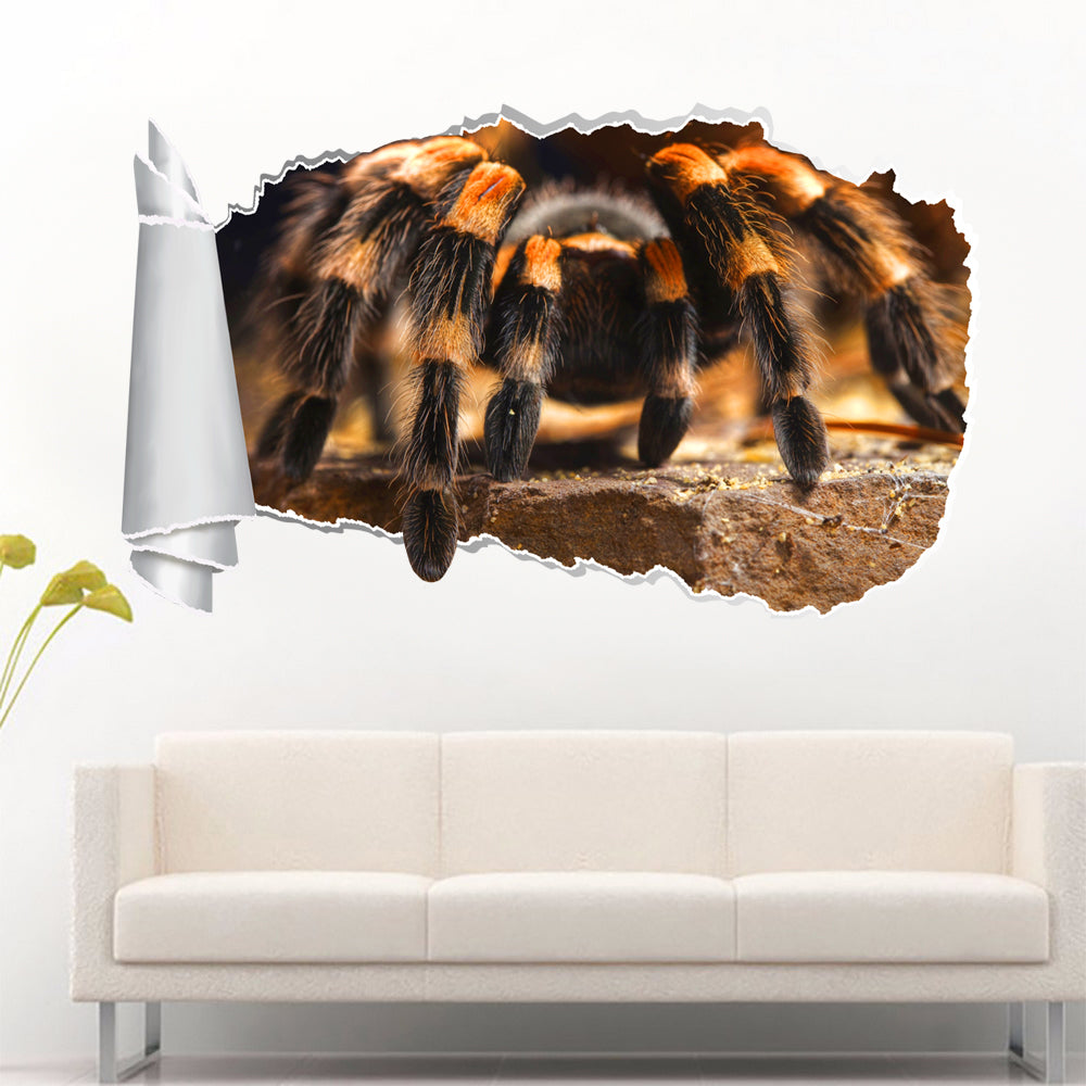 Tarantula Spider 3D Torn Paper Hole Ripped Effect Decal Wall Sticker