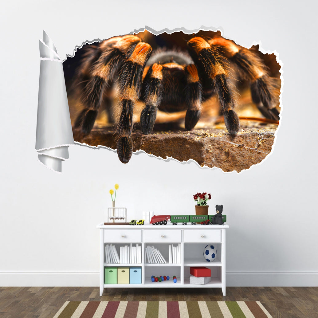 Tarantula Spider 3D Torn Paper Hole Ripped Effect Decal Wall Sticker