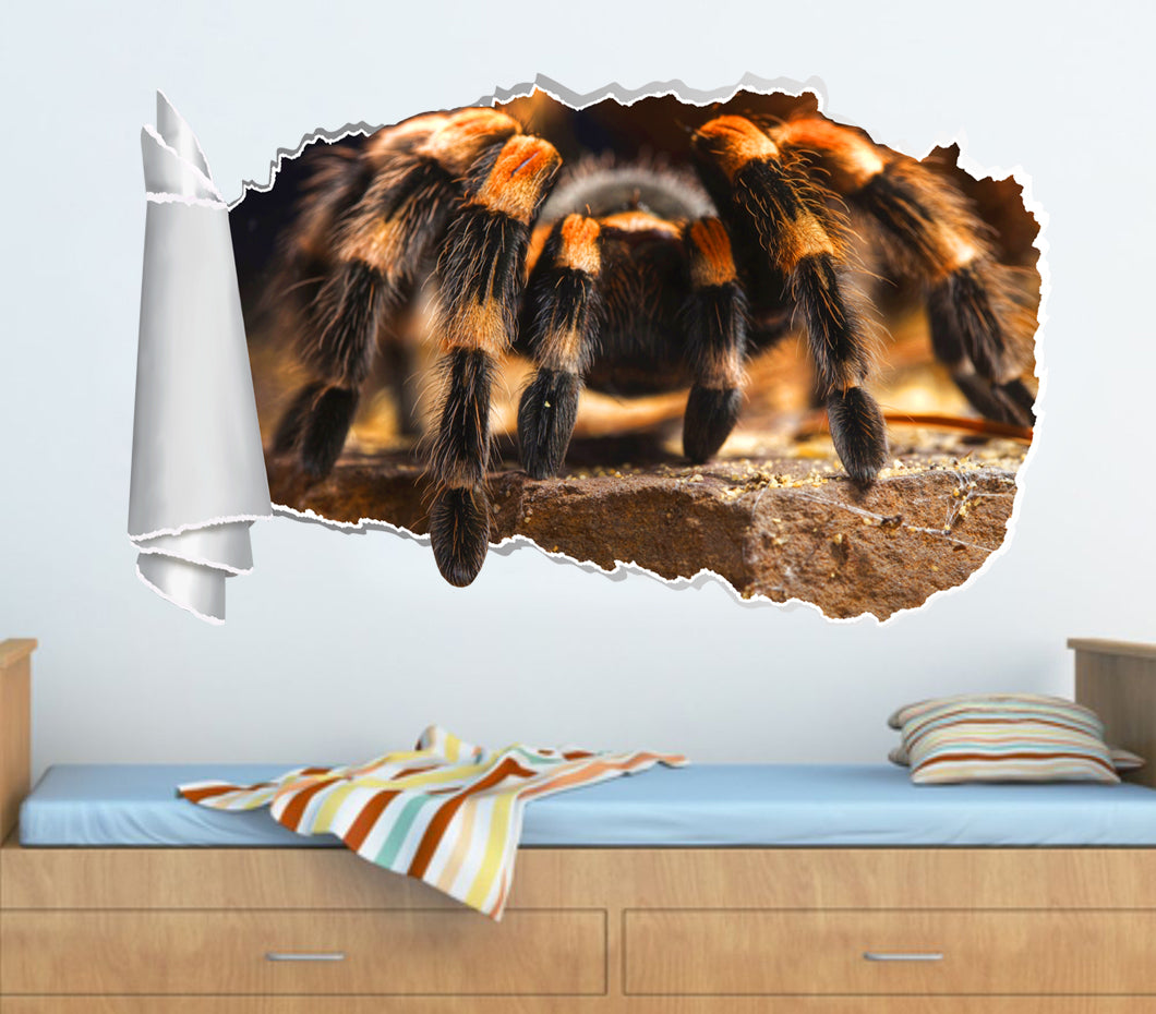 Tarantula Spider 3D Torn Paper Hole Ripped Effect Decal Wall Sticker