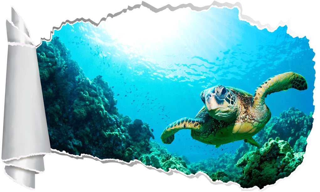 Sea Turtle 3D Torn Paper Hole Ripped Effect Decal Wall Sticker