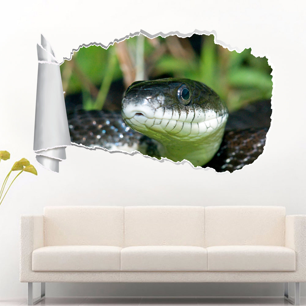 Black Mamba Snake 3D Torn Paper Hole Ripped Effect Decal Wall Sticker
