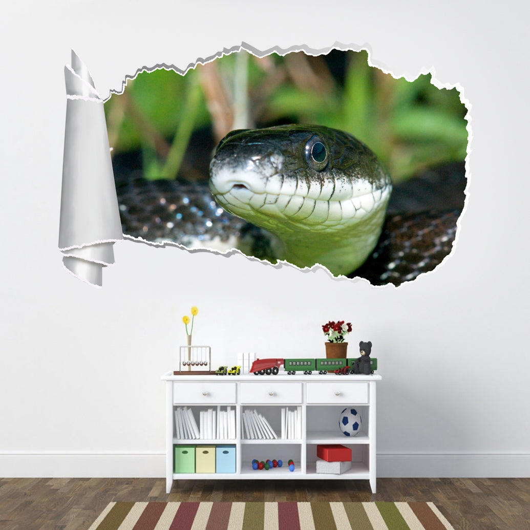 Black Mamba Snake 3D Torn Paper Hole Ripped Effect Decal Wall Sticker