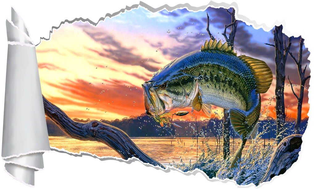 Large Mouth Bass 3D Torn Paper Hole Ripped Effect Decal Wall Sticker