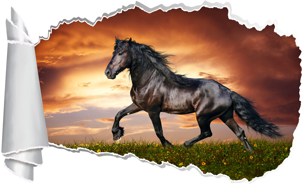 Noble Black Horse 3D Torn Paper Hole Ripped Effect Decal Wall Sticker