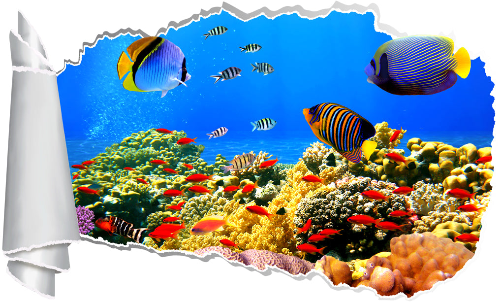 Tropical Fish Coral Reef 3D Torn Paper Hole Ripped Effect Autocollant mural décalcomanies
