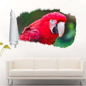 Red Parrot 3D Torn Paper Hole Ripped Effect Decal Wall Sticker